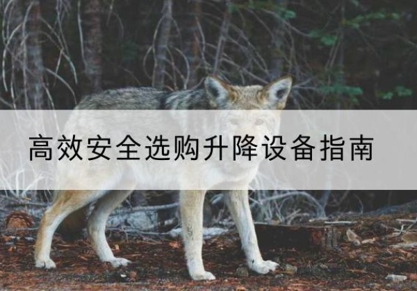 西吉升降货梯厂家推荐-*安全选购升降设备指南