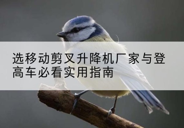 西吉电动升降机厂家-选移动剪叉升降机厂家与登高车必看实用指南