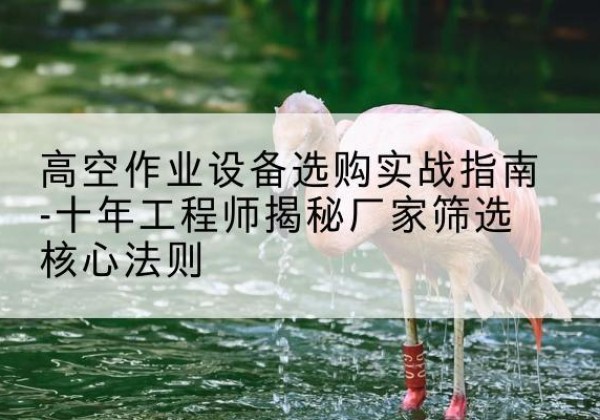 西吉剪叉式升降机厂家-高空作业设备选购实战指南-十年工程师揭秘厂家筛选核心法则